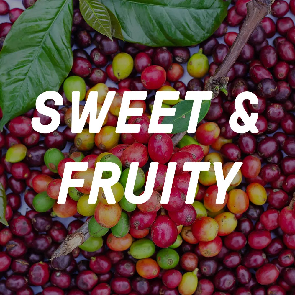Single Origin Medium Roast Filter