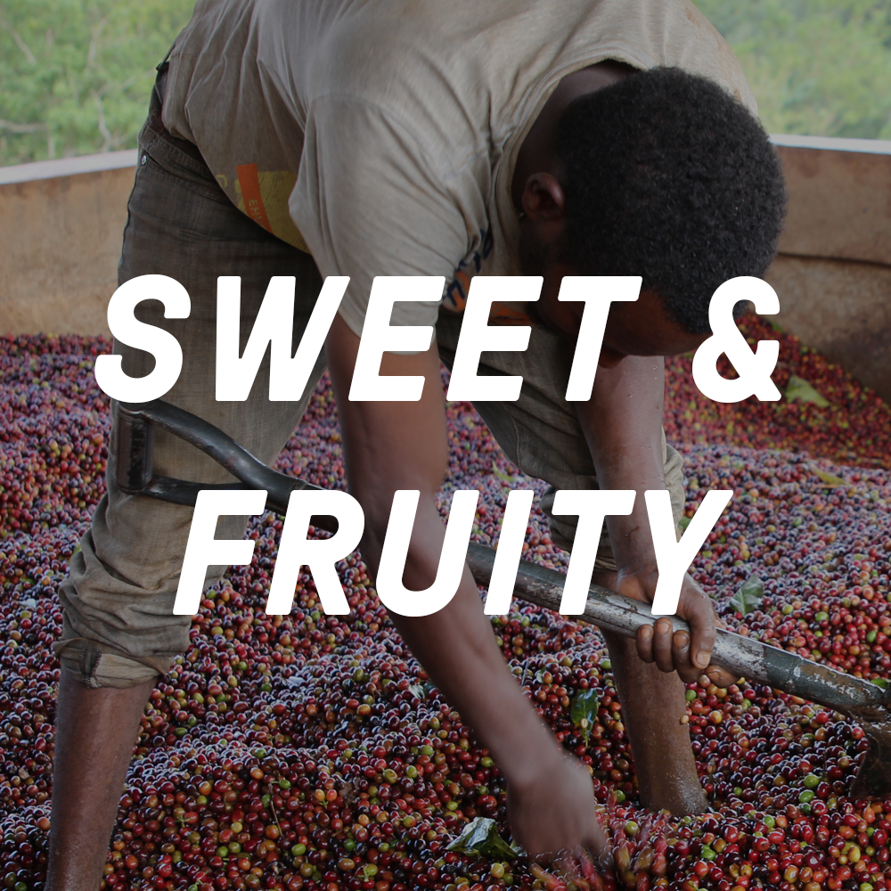 Ethiopia Filter